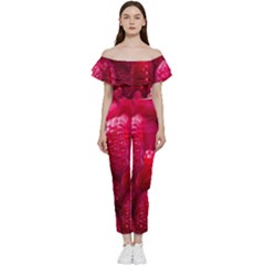 Raspberries Off Shoulder Ruffle Top Jumpsuit by artworkshop