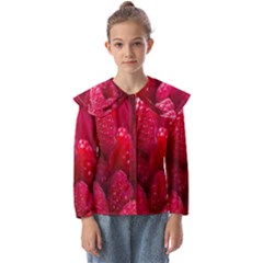 Raspberries Kids  Peter Pan Collar Blouse by artworkshop