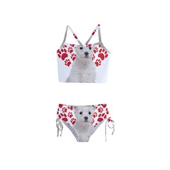 West Highland White Terrier Gift T- Shirt Cute West Highland White Terrier Valentine Heart Paw West Girls  Tankini Swimsuit by maxcute