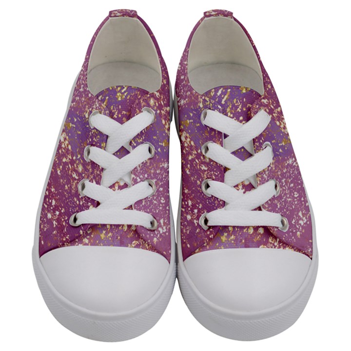 Stardust  Kids  Low Top Canvas Sneakers