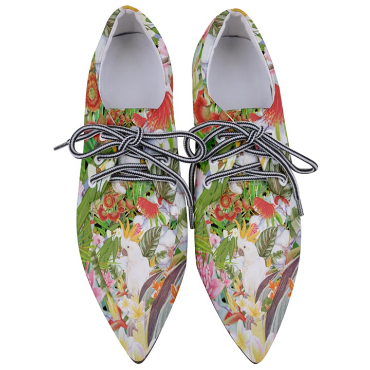 Birds of Paradise  Pointed Oxford Shoes