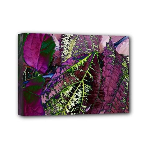 Leaves 21 Mini Canvas 7  X 5  (stretched) by DinkovaArt