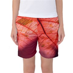 Leaf Copper Leaf Plant Nature Women s Basketball Shorts by Ravend