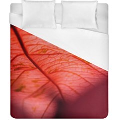 Leaf Copper Leaf Plant Nature Duvet Cover (california King Size) by Ravend