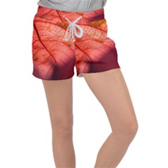 Leaf Copper Leaf Plant Nature Velour Lounge Shorts