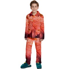 Leaf Copper Leaf Plant Nature Kids  Long Sleeve Velvet Pajamas Set