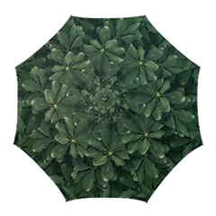 Leaves Closeup Background Photo1 Golf Umbrellas by dflcprintsclothing