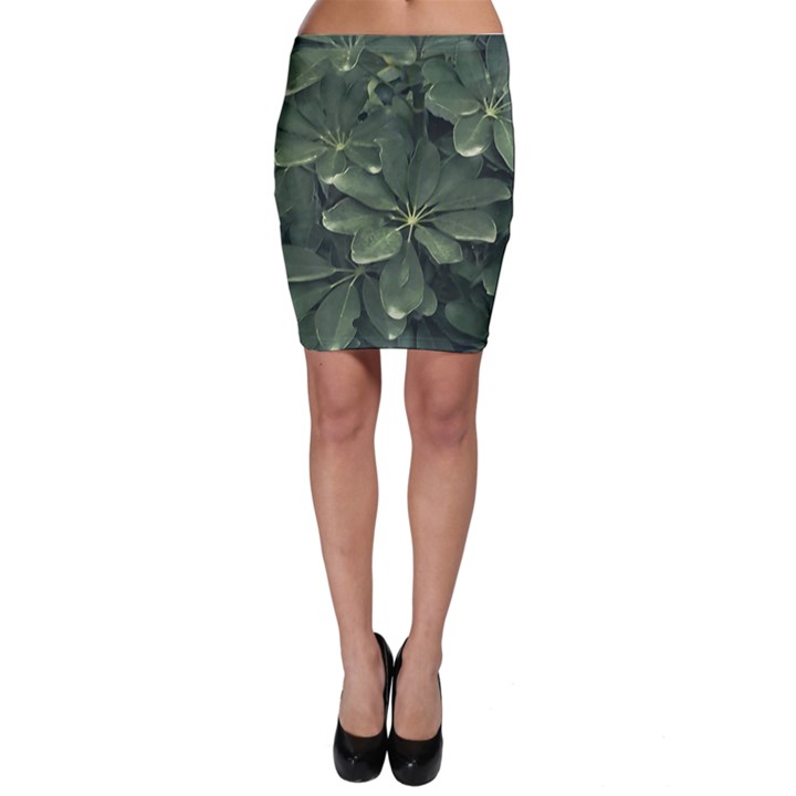 Leaves Closeup Background Photo1 Bodycon Skirt