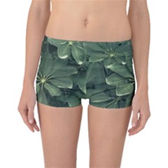 Leaves Closeup Background Photo1 Boyleg Bikini Bottoms by dflcprintsclothing