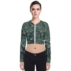 Leaves Closeup Background Photo1 Long Sleeve Zip Up Bomber Jacket by dflcprintsclothing