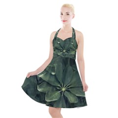 Leaves Closeup Background Photo1 Halter Party Swing Dress  by dflcprintsclothing