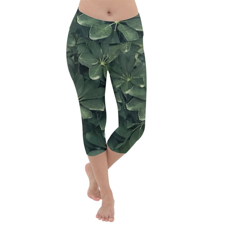 Leaves Closeup Background Photo1 Lightweight Velour Capri Yoga Leggings