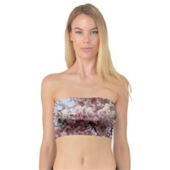 Almond Tree Flower Bandeau Top by artworkshop