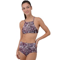 Almond Tree Flower High Waist Tankini Set by artworkshop