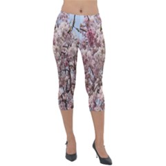 Almond Tree Flower Lightweight Velour Capri Leggings  by artworkshop