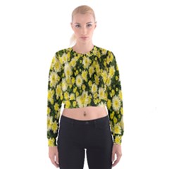 Autumn Background Closeup Flowers Cropped Sweatshirt