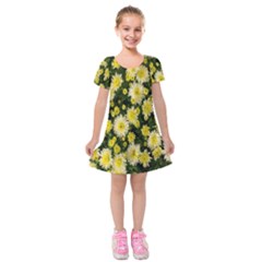 Autumn Background Closeup Flowers Kids  Short Sleeve Velvet Dress by artworkshop