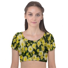 Autumn Background Closeup Flowers Velvet Short Sleeve Crop Top  by artworkshop