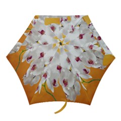 Boards Decoration Flower Flower Room Mini Folding Umbrellas by artworkshop