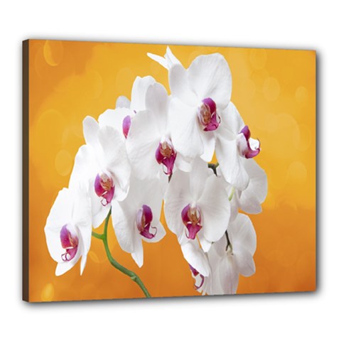 Boards Decoration Flower Flower Room Canvas 24  X 20  (stretched) by artworkshop