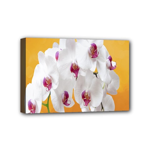 Boards Decoration Flower Flower Room Mini Canvas 6  X 4  (stretched) by artworkshop