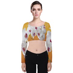 Boards Decoration Flower Flower Room Velvet Long Sleeve Crop Top by artworkshop