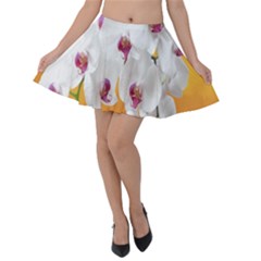 Boards Decoration Flower Flower Room Velvet Skater Skirt