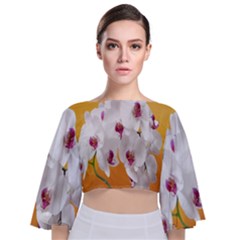 Boards Decoration Flower Flower Room Tie Back Butterfly Sleeve Chiffon Top by artworkshop