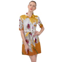 Boards Decoration Flower Flower Room Belted Shirt Dress by artworkshop