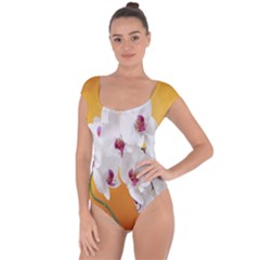 Boards Decoration Flower Flower Room Short Sleeve Leotard  by artworkshop