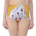 Boards Decoration Flower Flower Room Classic High-Waist Bikini Bottoms View1