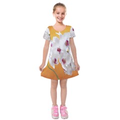 Boards Decoration Flower Flower Room Kids  Short Sleeve Velvet Dress by artworkshop