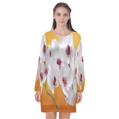 Boards Decoration Flower Flower Room Long Sleeve Chiffon Shift Dress  by artworkshop