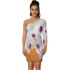 Boards Decoration Flower Flower Room Long Sleeve One Shoulder Mini Dress by artworkshop