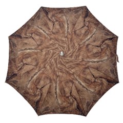 Brown Close Up Hd Wallpaper Surface Straight Umbrellas by artworkshop