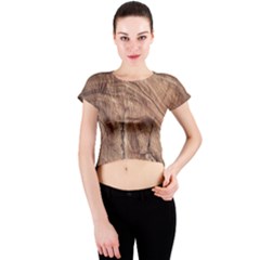 Brown Close Up Hd Wallpaper Surface Crew Neck Crop Top