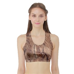 Brown Close Up Hd Wallpaper Surface Sports Bra With Border by artworkshop