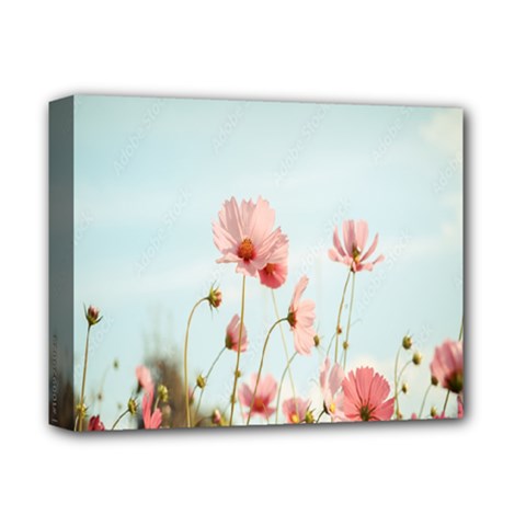 Cosmos Flower Blossom In Garden Deluxe Canvas 14  X 11  (stretched) by artworkshop