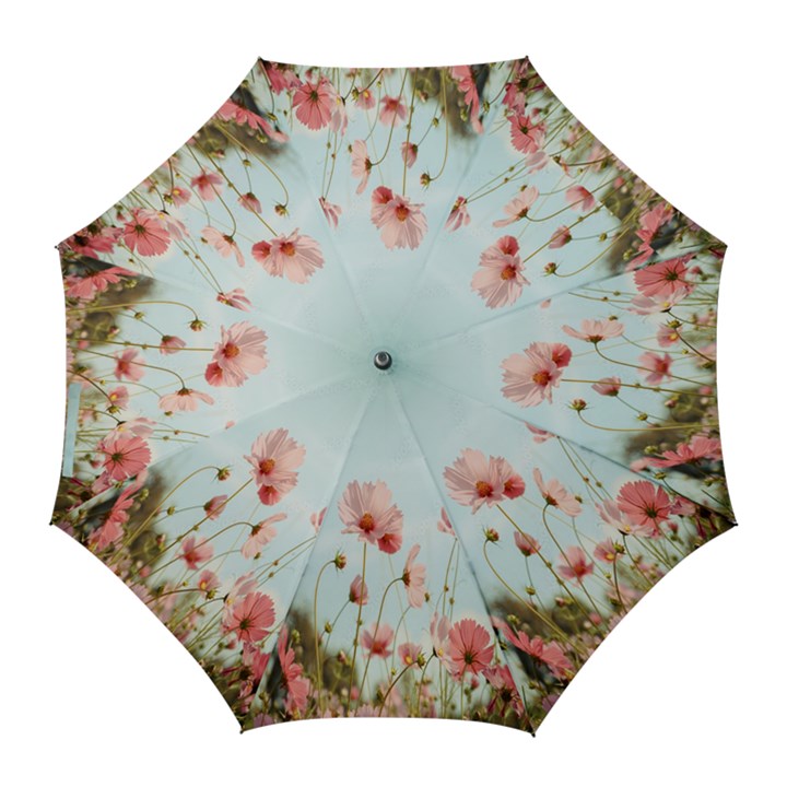 Cosmos Flower Blossom In Garden Golf Umbrellas