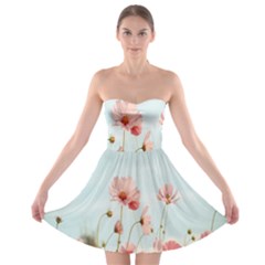 Cosmos Flower Blossom In Garden Strapless Bra Top Dress by artworkshop