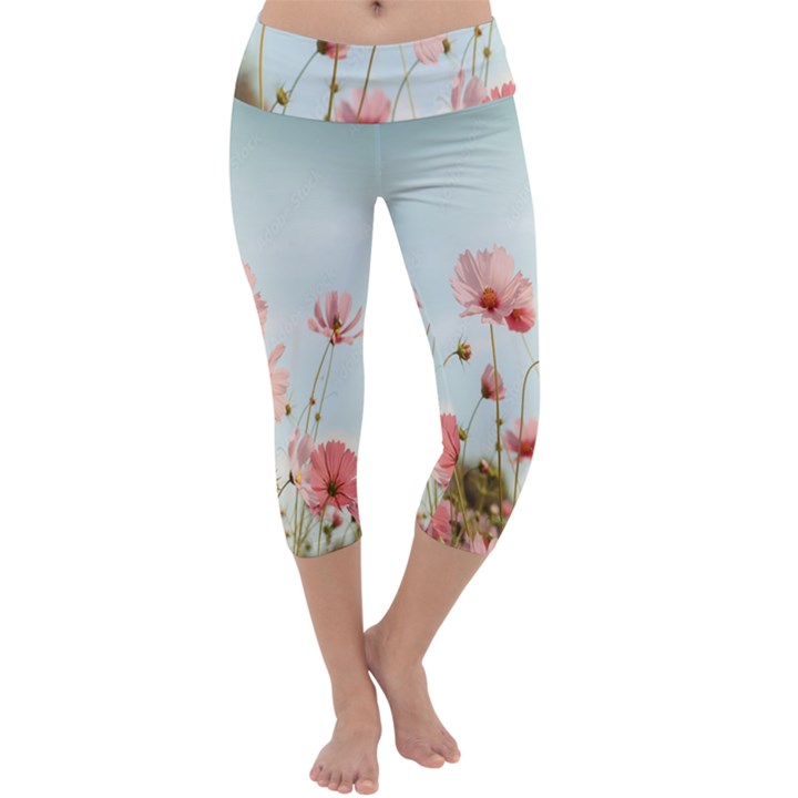 Cosmos Flower Blossom In Garden Capri Yoga Leggings