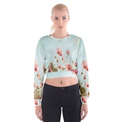 Cosmos Flower Blossom In Garden Cropped Sweatshirt by artworkshop