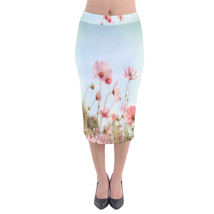 Cosmos Flower Blossom In Garden Velvet Midi Pencil Skirt