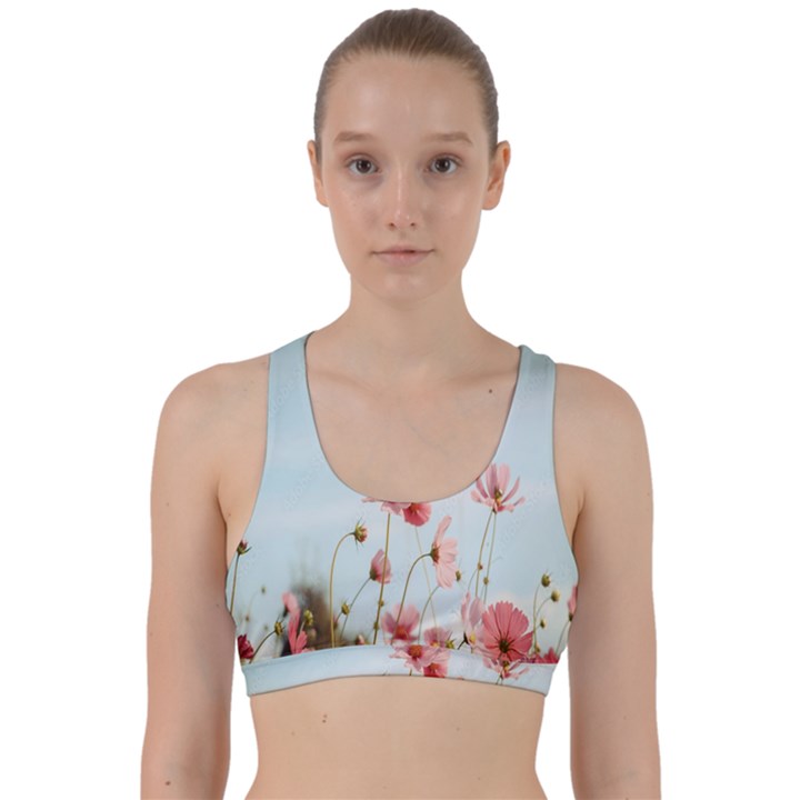 Cosmos Flower Blossom In Garden Back Weave Sports Bra