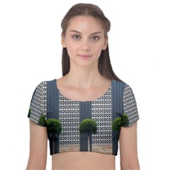 Exterior Building Pattern Velvet Short Sleeve Crop Top  by artworkshop