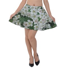 Exterior Building Pattern Velvet Skater Skirt