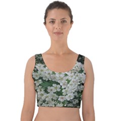 Exterior Building Pattern Velvet Crop Top by artworkshop