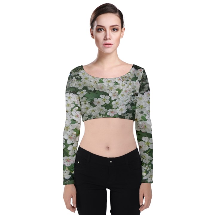 Exterior building pattern Velvet Long Sleeve Crop Top