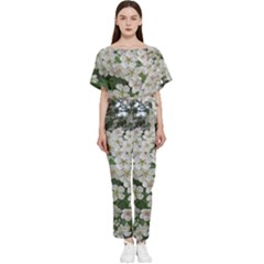 Exterior Building Pattern Batwing Lightweight Chiffon Jumpsuit by artworkshop