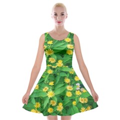 Flower Plant Spring Velvet Skater Dress by artworkshop